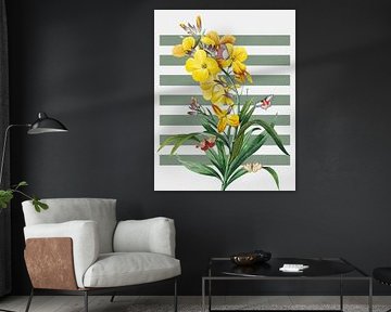 the Spring Collection van Marja van den Hurk