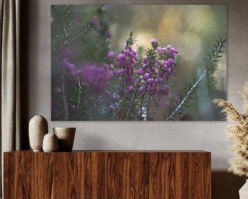 flowers part 476 by Tania Perneel