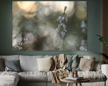 flowers part 478 by Tania Perneel