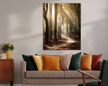 Misty forest path with sun harps by Lennart ter Harmsel