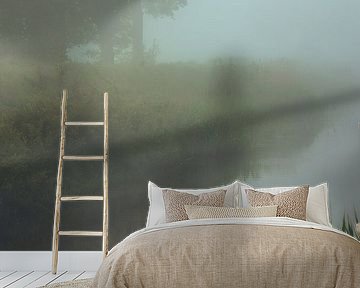 Swan in the fog by Lennart ter Harmsel