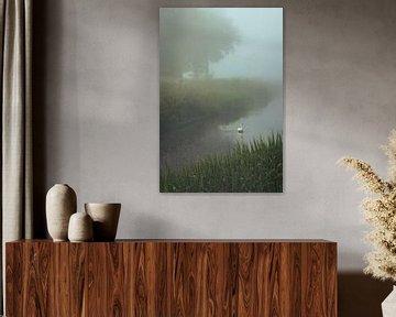 Zwaan in de mist van Lennart ter Harmsel