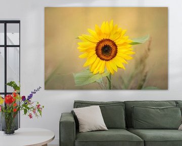 Zonnebloem van Lennart ter Harmsel