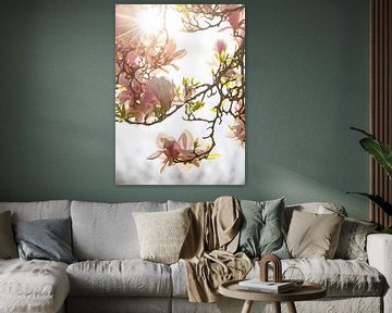 Een droom van een magnolia van Monique van Genderen (in2pictures.nl fotografie)