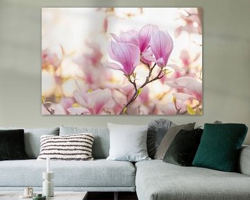 Sweet Magnolia's van Monique van Genderen (in2pictures.nl fotografie)