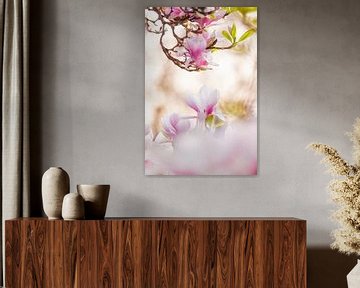 ik houd van magnolia's van Monique van Genderen (in2pictures.nl fotografie)