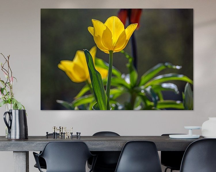 Aperçu de la chambre