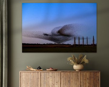 Spreeuwenwolk tijdens zonsondergang van Sjoerd van der Wal Fotografie