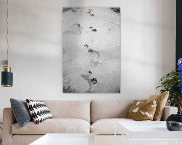 Pootafdrukken in het zand | Zwart wit foto van Madinja Groenenberg