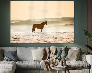 Paard boven de wolken tijdens zonsondergang | Duitsland van Madinja Groenenberg