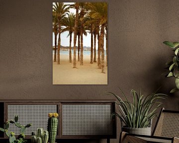 Palmbomen bij zee - Villajoyosa, Spanje van Tessa Hoogenboezem