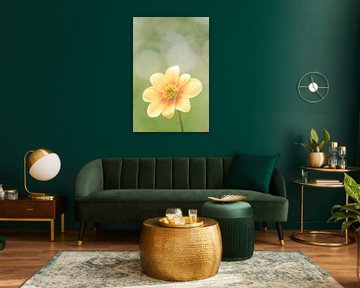 Schöne zartgelbe Blume