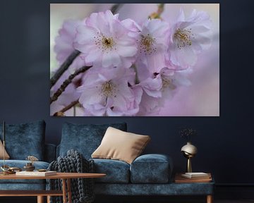 Bloemen bloesem