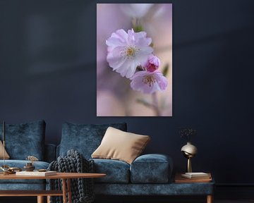Bloemen bloesem van PeetMagneet