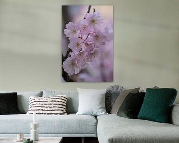 Bloemen bloesem van PeetMagneet