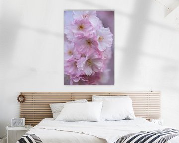 Bloemen bloesem van PeetMagneet