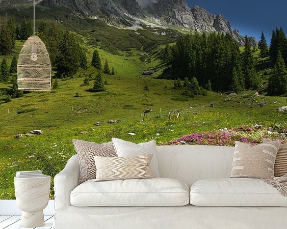 Aperçu de la chambre