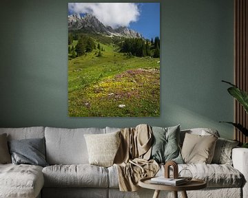 Almwiese in Mühlbach am Hochkönig von Lennart ter Harmsel