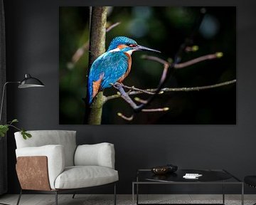 IJsvogel kingfisher van Corrine Ponsen