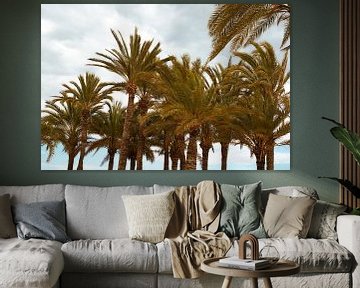 Palmbomen - Villajoyosa, Spanje van Tessa Hoogenboezem