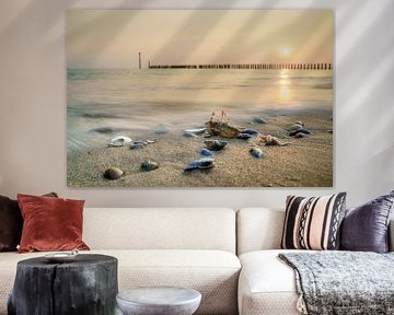 Aangespoelde Krab, Gouden uur aan de Kust van Fotografiecor .nl