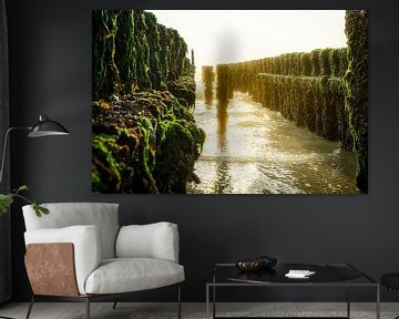 Groene Golfbrekers in Goudlicht van Fotografiecor .nl