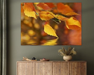 Herfstbladeren van Violetta Honkisz