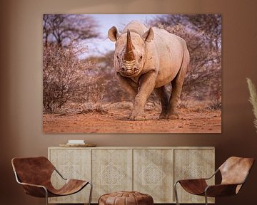 Portrait of a Black Rhinoceros by Chris Stenger