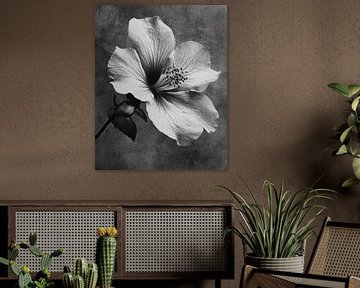 Shadowbloom van Franka Poulain