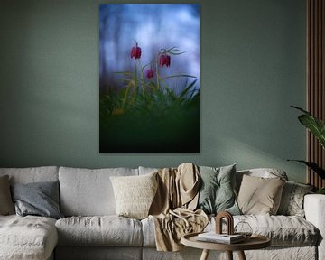 Kievitsbloemen.