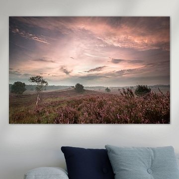 De Gortelse heide in de ochtend