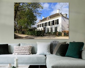 Huis Rhijnlust in Oog in Al te Utrecht (kleur)