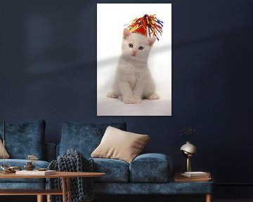 White little kitten with blue eyes and wearing a party hat by Frans Rombout
