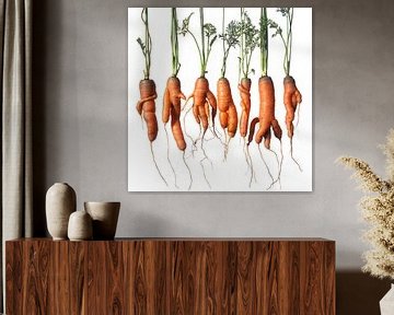 Row of misshapen special organic orange carrots by Frans Rombout