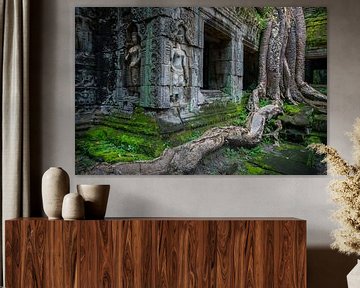 Angkor Wat van Antwan Janssen