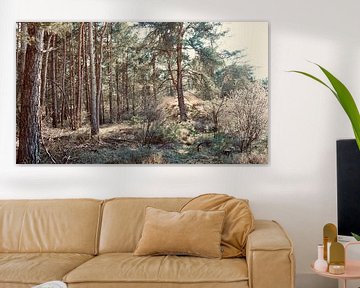 Coniferous forest in the Vechtdal by Skyler Muller