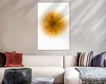 Bellis in ijs van Marc Heiligenstein