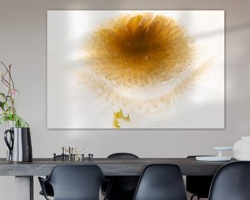 Bellis in ijsblok van Marc Heiligenstein