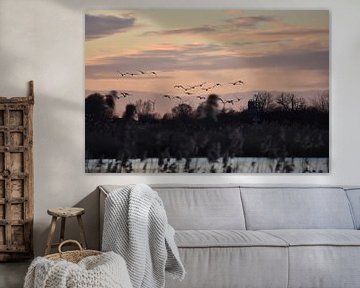 Flying geese, sunset, Zwolle by Carmen Nijenhuis