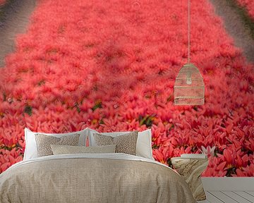 Pink Tulips by Yanuschka | Fotografie Noordwijk