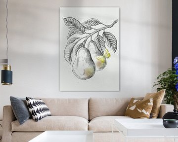 Pears on a branch van Fineline
