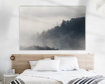 misty mountains