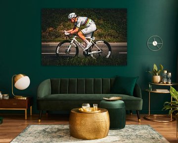 Tadej Pogacar wereldkampioen in de Ronde van Vlaanderen