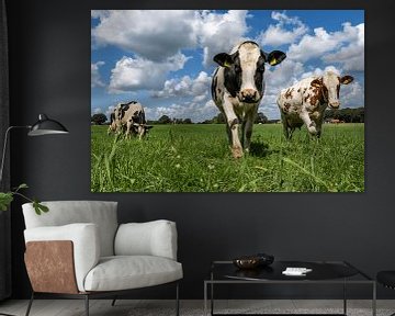 Hollandse koeien van Scandinavian Photography