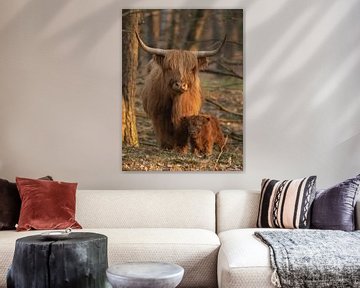 Schotse Hooglander en haar kalf van Chris Danen