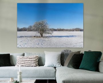 Paysage hivernal avec aubépine sur Heiko Kueverling