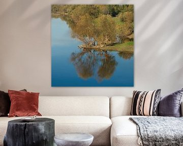 Weiden aan de oevers van de Elbe van Heiko Kueverling
