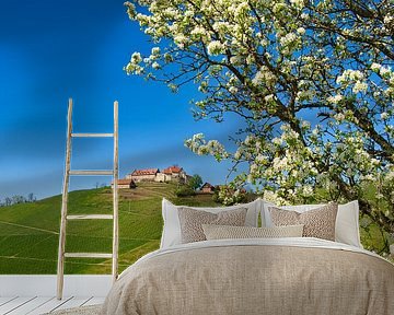 Kasteel Staufenberg in Durbach van Tanja Voigt