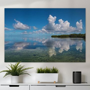 Spiegelend water landschap in Florida