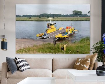 Bernse Veer Bern - Herpt